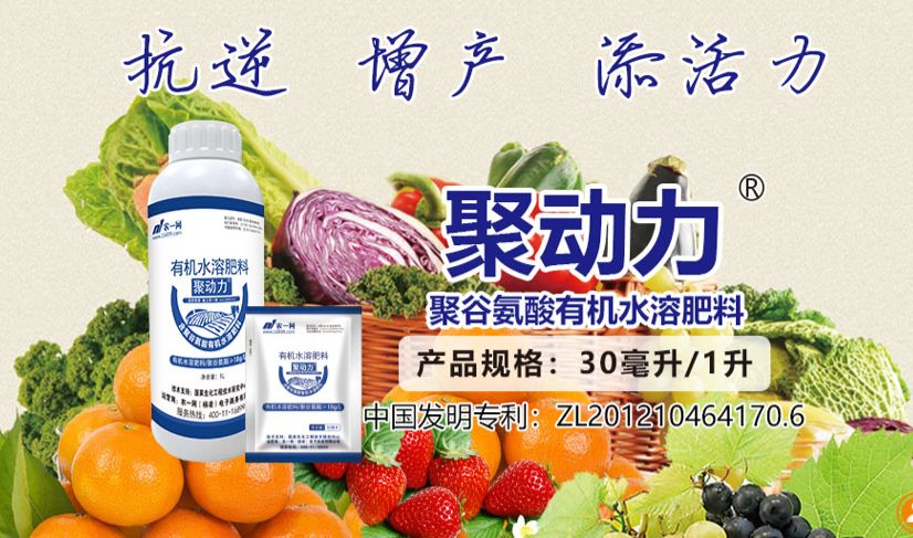肥料檢出植物生長調(diào)節(jié)劑最高可處20倍罰款，聚谷氨酸或成安全增效新選擇